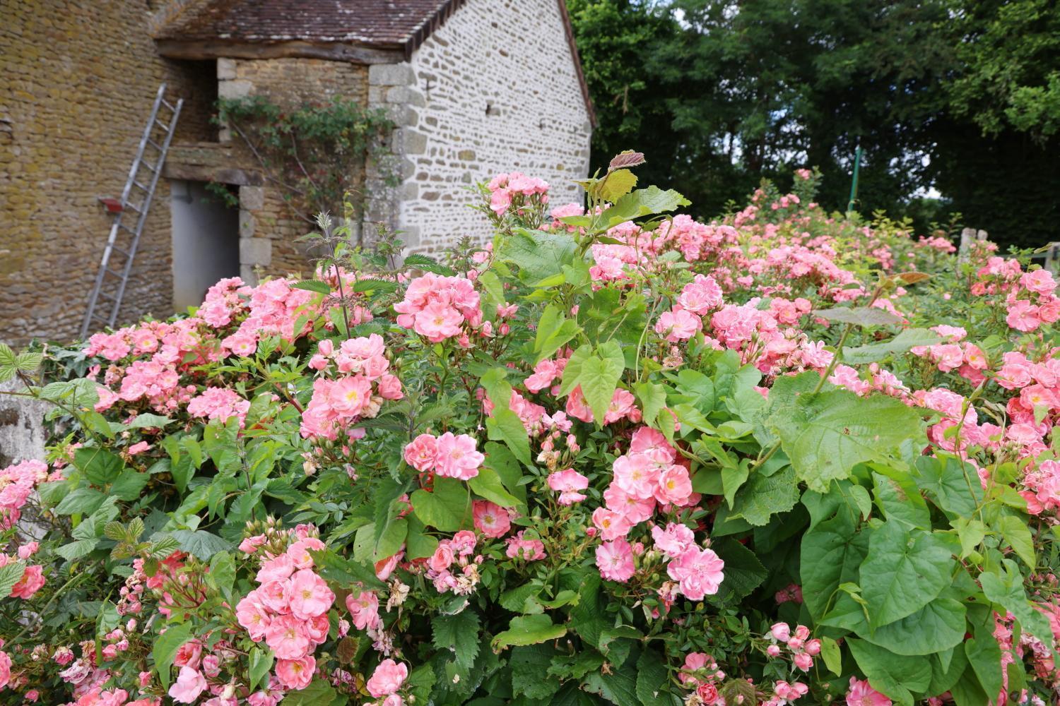 Chambre D'Hote Courtoux Saint-Denis-sur-Sarthon Luaran gambar